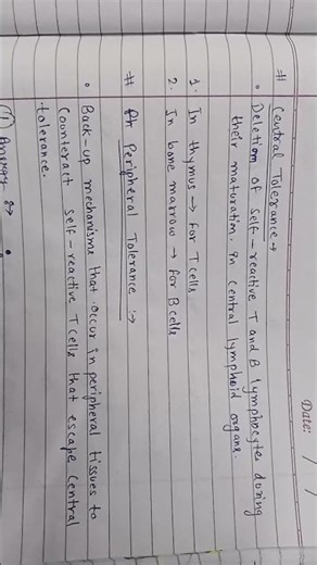 Autoimmunity – immunological tolerance, Mechanism of Autoimmunity 📖✨