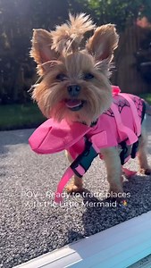 91 reactions · 5 comments | How hot is this?  Emily had a blast...