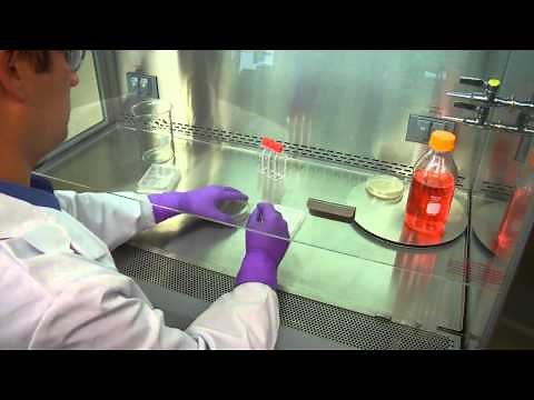 Chapter 3: Working Safely BSC: Proper Preparation, Steps to Take Before You Begin Work