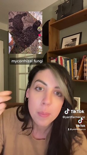 Daryl | Sustainable Landscapes on TikTok
