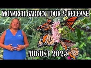 Raising Monarch Butterflies in our Butterfly House - July 2025