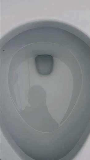 2005 Kohler Highline Pressure Lite Toilet Flush