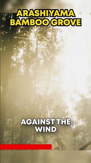 Best in Kyoto: Arashiyama Bamboo Grove