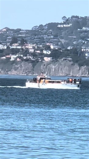 pleasure craft 3/19/26