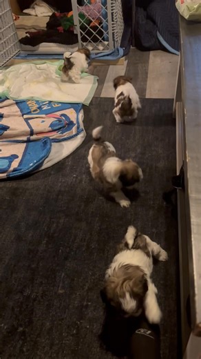 Jodi Yerkey on Reels