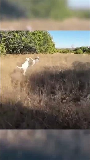 Here’s some footage from last year in Texas we just found that I never posted.