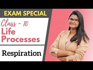 Life Processes - Respiration || Class 10