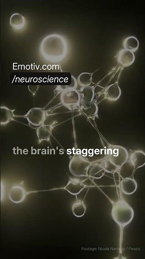 Neuroscience – For The Curious Minds