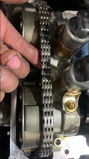 2014 Ford Focus 2.0L Timing Chain Inspection