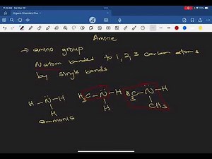 Amine Functional Group: Structure, Examples, and Classification