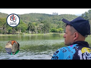 A TOUGH DAY OF FISHING, BUT THESE FISH ARE SURPRISING US - Kobayashi Fishing Spot