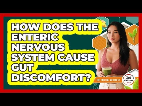 How Does The Enteric Nervous System Cause Gut Discomfort? - Gut Wellness Central