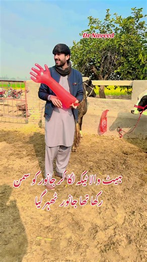 Dr. Naveed's Effective Animal Care Techniques