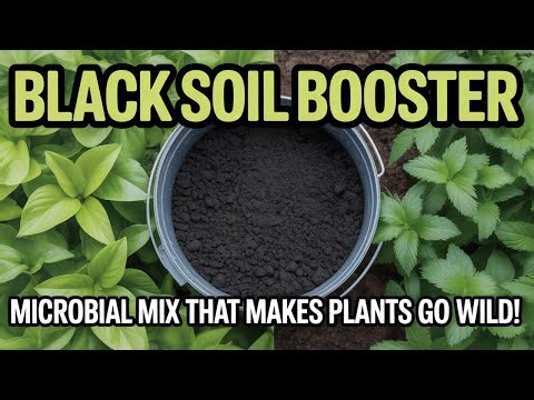 This BLACK Microbe Liquid Made My Garden EXPLODE With 10X Harvests!