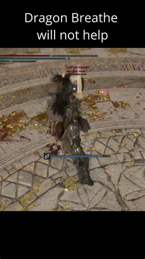 They never greet ELDEN RING #eldenring #eldenringclips #eldenringdlc #gaming