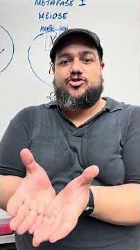 Diferença entre mitose e meiose!