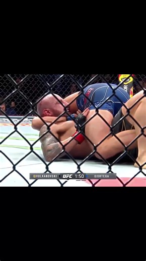 Striking vs Grappling in Combat Sports