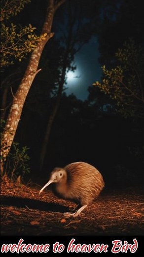 Kiwi Bird in Forest 🐦 | Rare Flightless Night Bird #birds #nature #shortfeed