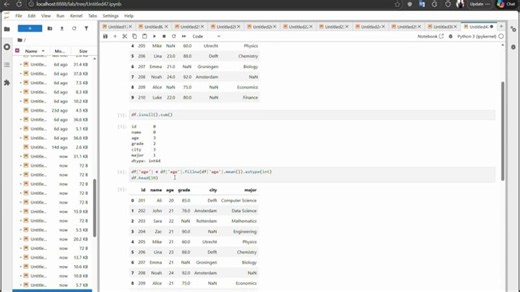 How to Handle Missing Data in Python with Pandas | Zachariah H. Njayi