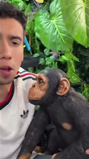 🐒😱¡ElAbrahaham pregunta QUÉ NOMBRE ponerle a su SIMIO PELUCHE!🙀