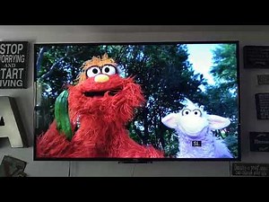 Sesame Street season 42 Letter of the Day Clues Z
