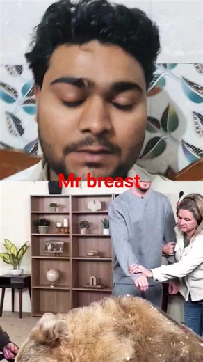 Mr beast 😍😍😍 reel bast #shorts #viral #fun #tranding #mrbeast