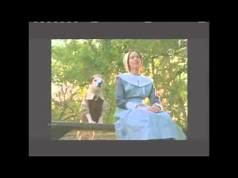 Wishbone: A Bone of Contention 2/2