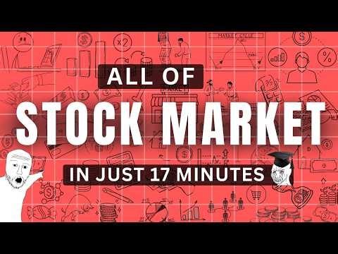 ALL OF THE STOCK MARKET Explained in 20 Minutes