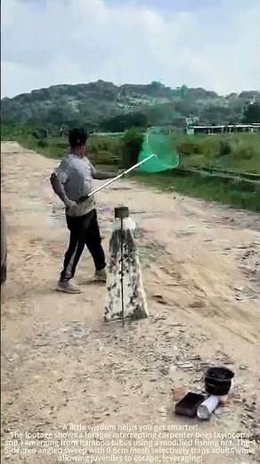 Balancing Tradition & Ecology: Bamboo Tube Bee Trapping Techniques