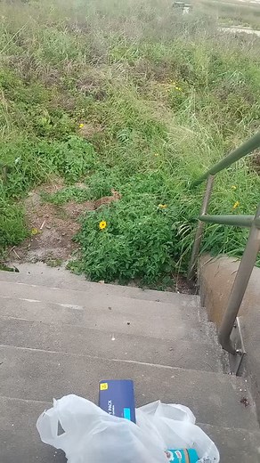 Brian Louis Taylor on Reels