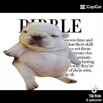 I am pebble wash my belly edit(credits to the creator)#pibble