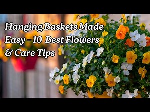 10 Best Hanging Flowers and Easy Care Tips