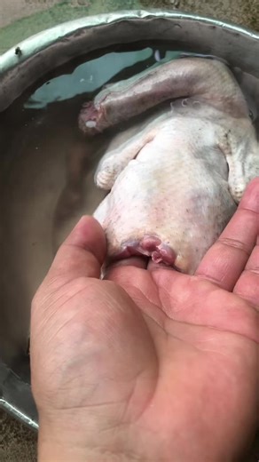 How to Properly Clean Raw Chicken