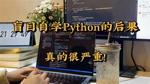 Python学习：听我一句劝! 千万别盲目自学Python！后果真的很严重！！