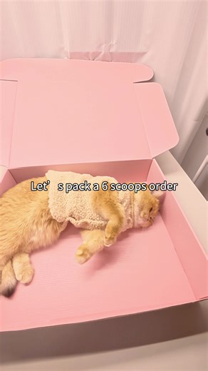 Hi,Tessa,this is your order video, I hope you like it 🥰🥰🥰🥰#luckyscoop #mysteryscoop #packingorders #packing #asmr