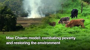 Mae Chaem model: combating poverty and restoring the environment This Week with Thai PBS World 12th July 2024 | Thai PBS World | Facebook