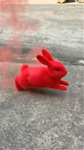 Insane Transformation Algorithm 🤯 This Will Blow Your Mind! #humor #entertainment #shorts