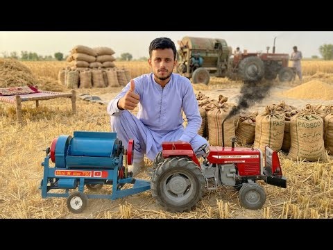 MF 385 Tractor best performance on thrasher machine | Traditional Harvesting Methods | 4K Ultra HD