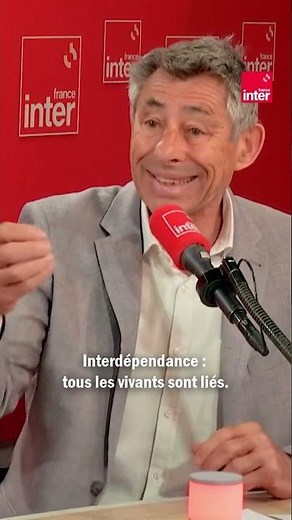 “Créatures déchets” de l’océan : François Sarano rend justice à ces espèces marines négligées⁠