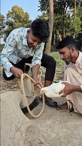 The black python came running after seeing the chicken😁😃then