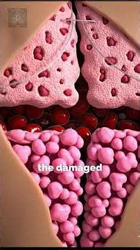 From Cut to Scar: The Science of Healing