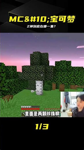 Z神居然是這集的寶可夢？這位置太顛覆了 #MC #宝可梦 #Z神 #神奇宝贝 #游戏冷知识