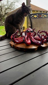 Octopus! #eightlegs #ArtistMikeQuinn | Fish With Attitude by Mike Quinn