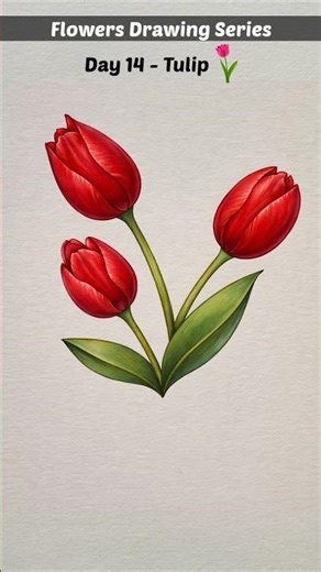 Easy Trick to draw Flowers | Tulip Flower Drawing Tutorial #shorts