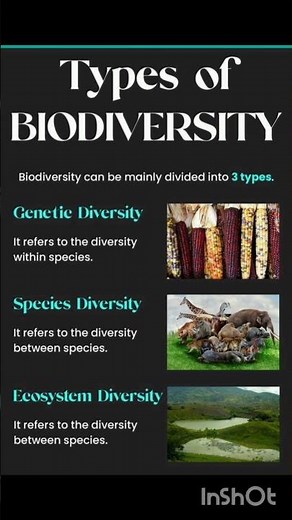 Types of biodiversity
