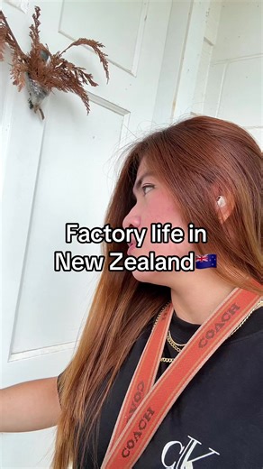 Exploring Daily Life in New Zealand