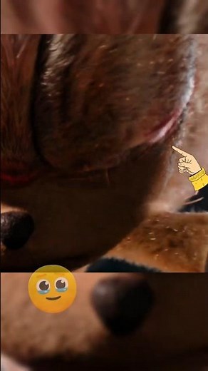 Did You Notice Shadow Crying in Sonic 3