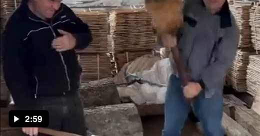 Hand-split and carved traditional wood shingles - Video