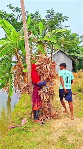 #bangladesh #foryouシ #comedy #whowillbemylifepartnerta #dancecover #samim_siddiki