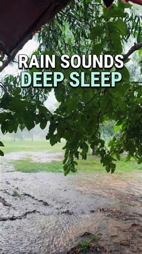 Heavy Rain Sounds for Deep Sleep & Relaxation